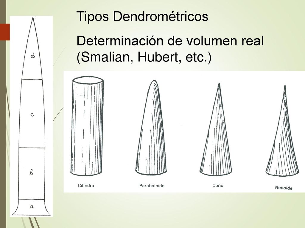 Tipos Dendrométricos Determinación de volumen real (Smalian, Hubert, etc.)