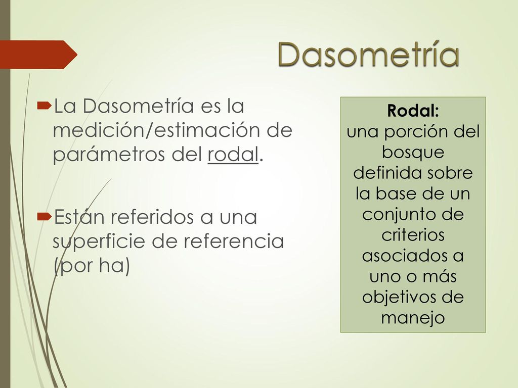 Dasometría La Dasometría es la medición/estimación de parámetros del rodal. Están referidos a una superficie de referencia (por ha)