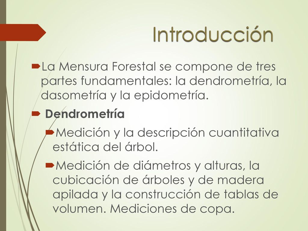 Introducción La Mensura Forestal se compone de tres partes fundamentales: la dendrometría, la dasometría y la epidometría.