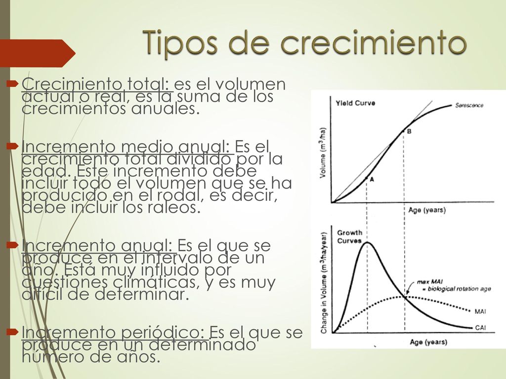 Tipos de crecimiento Crecimiento total: es el volumen actual o real, es la suma de los crecimientos anuales.