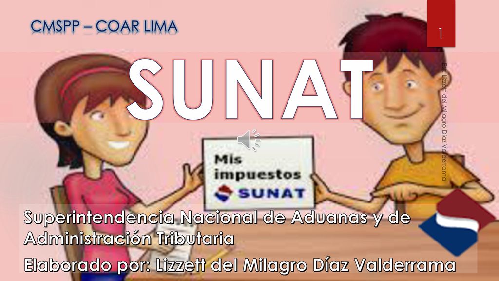 CMSPP - COAR LIMA CMSPP – COAR LIMA. SUNAT. Est: Lizzett del Milagro Díaz Valderrama.