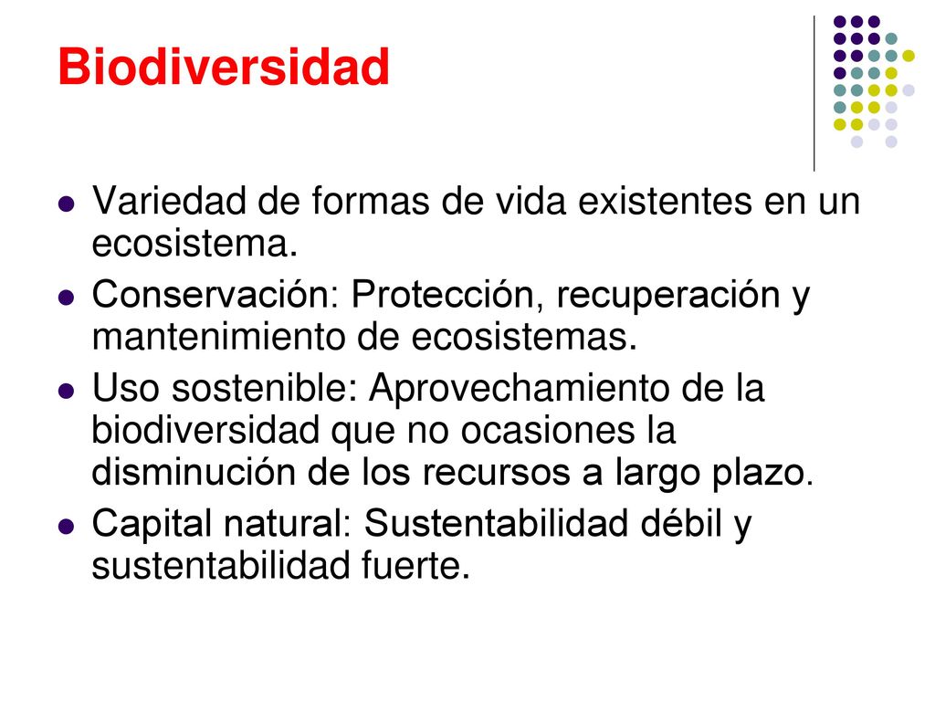 Biodiversidad Variedad de formas de vida existentes en un ecosistema.
