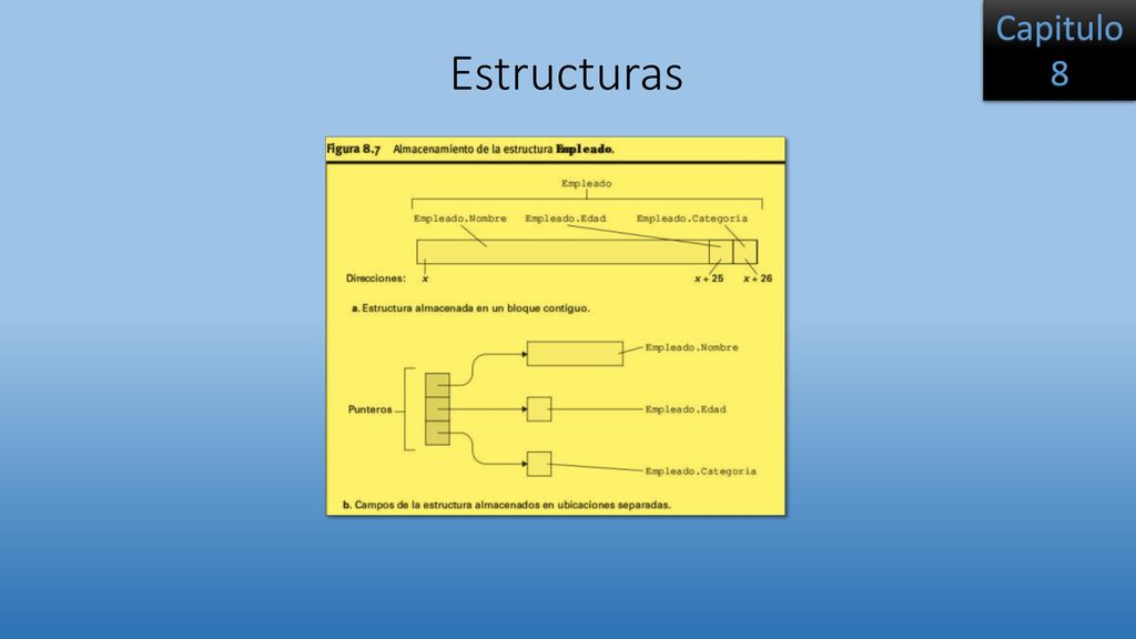 Capitulo 8 Estructuras