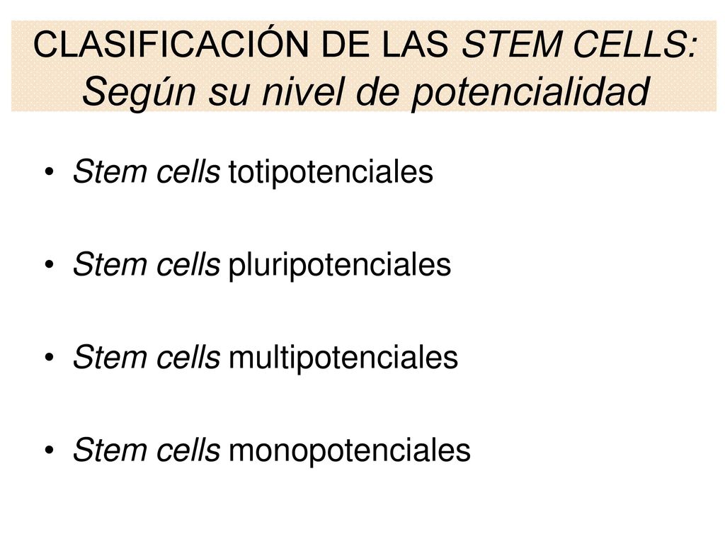 CLASIFICACIÓN DE LAS STEM CELLS: Según su nivel de potencialidad
