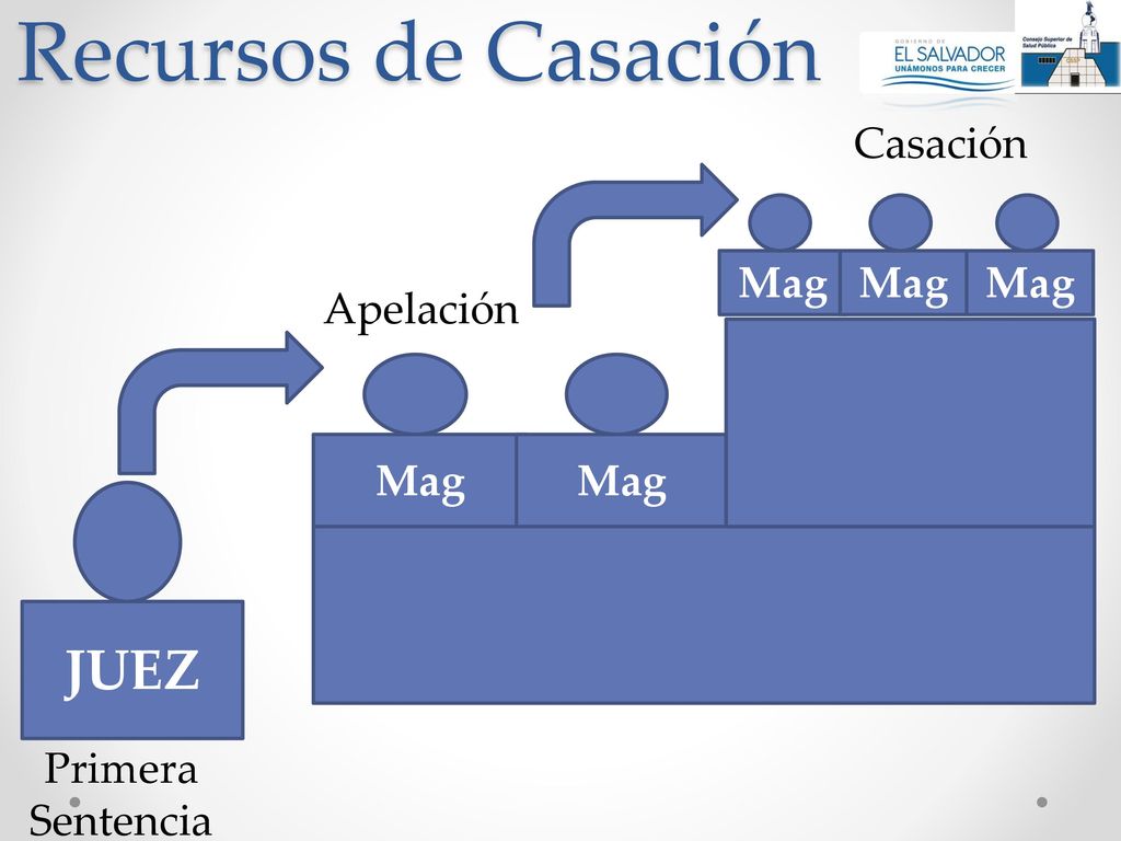 Recursos de Casación JUEZ Casación Mag Mag Mag Apelación Mag Mag