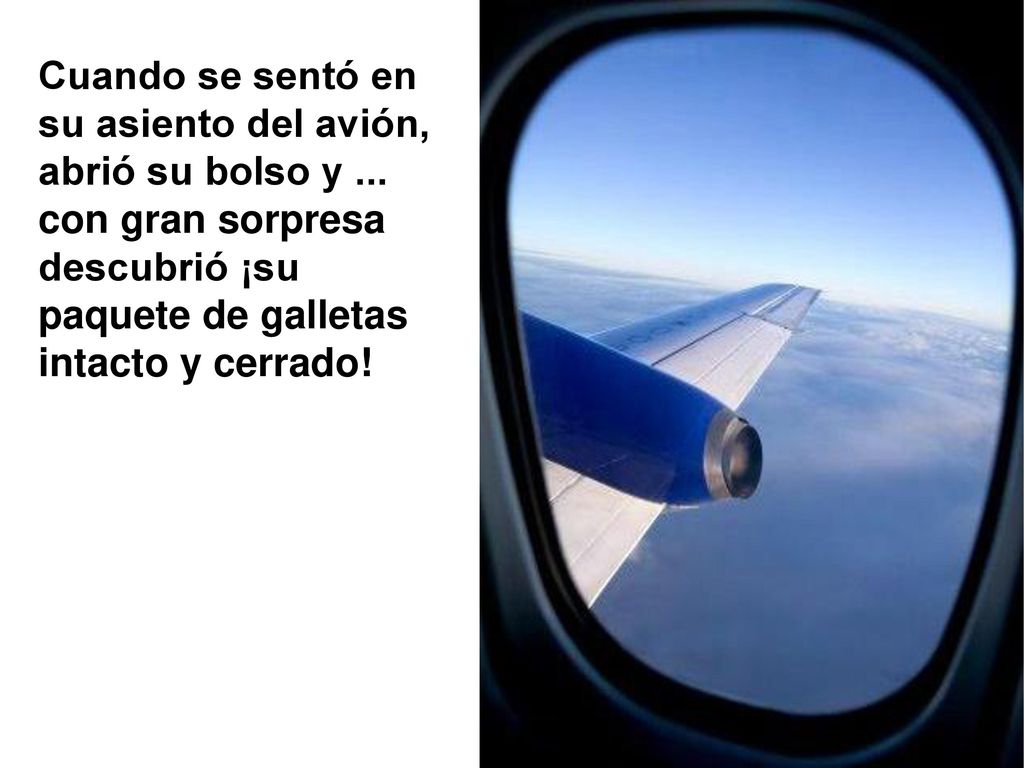 Cuando se sentó en su asiento del avión, abrió su bolso y