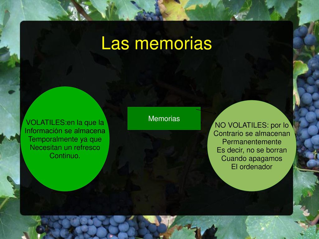 Las memorias VOLATILES:en la que la Información se almacena
