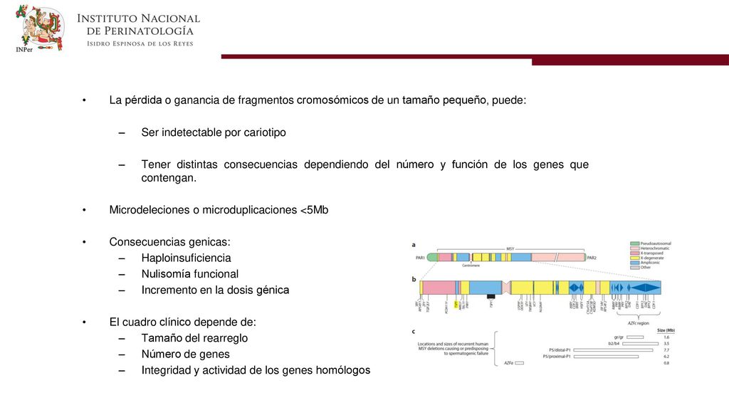 La pérdida o ganancia de fragmentos cromosómicos de un tamaño pequeño, puede: