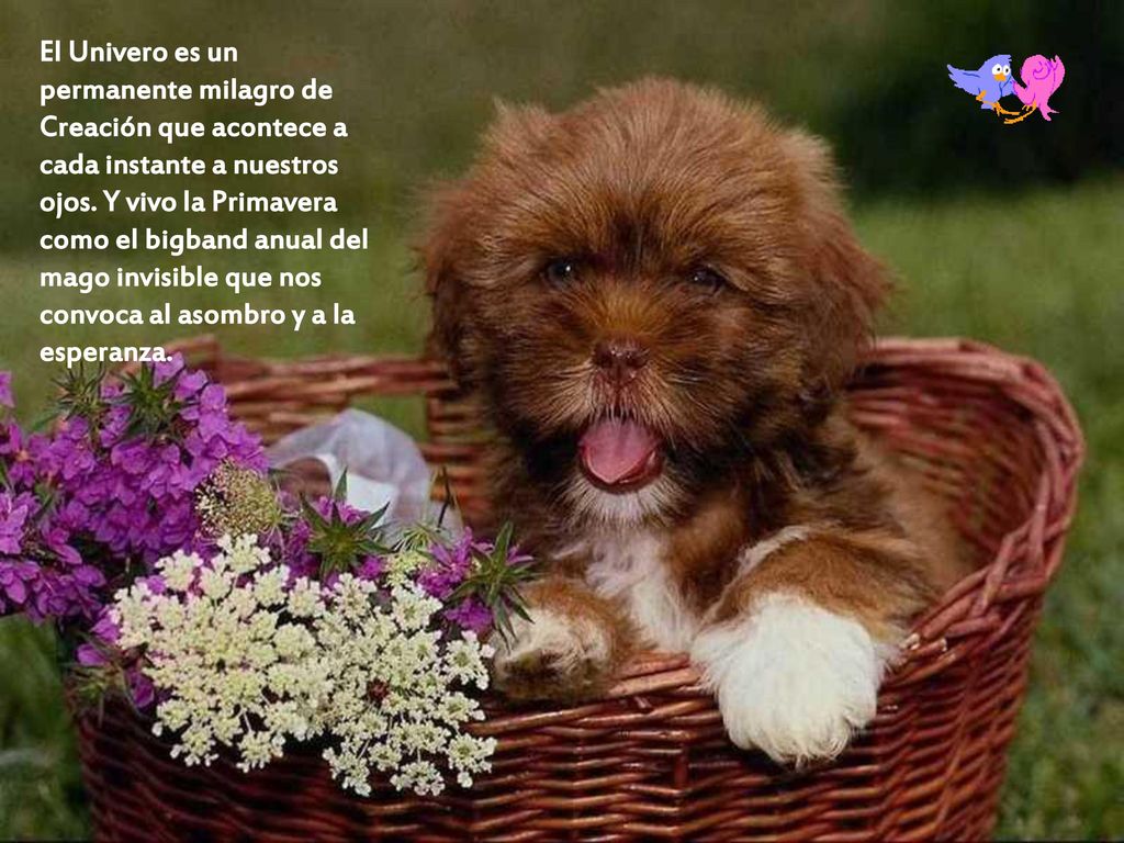 El Univero es un permanente milagro de Creación que acontece a cada instante a nuestros ojos.