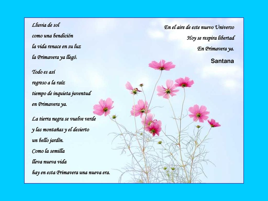 Lluvia de sol como una bendición. la vida renace en su luz. la Primavera ya llegó. En el aire de este nuevo Universo.