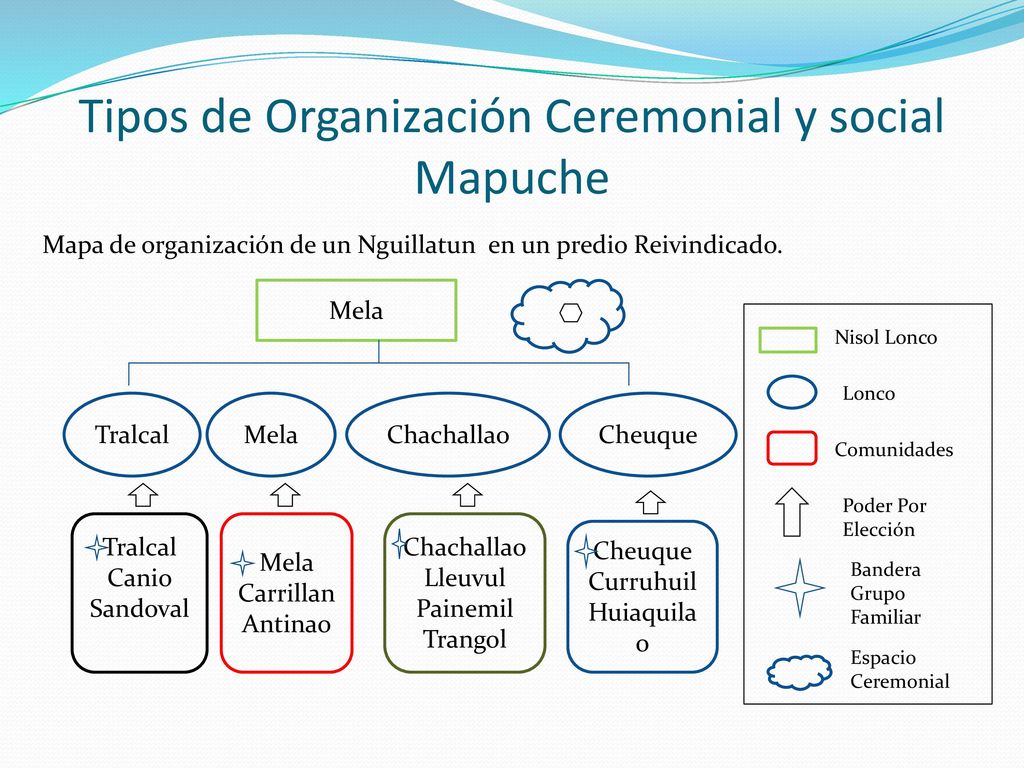 Tipos de Organización Ceremonial y social Mapuche
