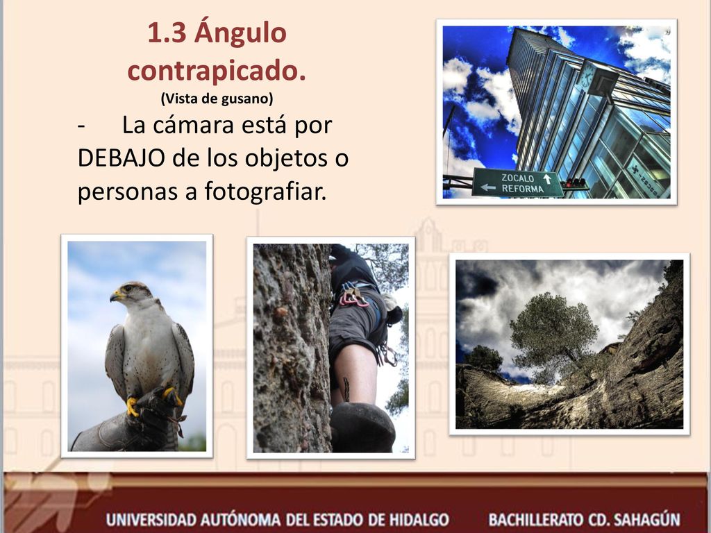 1.3 Ángulo contrapicado. La cámara está por DEBAJO de los objetos o