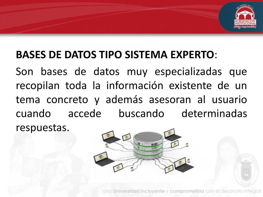 BASES DE DATOS TIPO SISTEMA EXPERTO: Son bases de datos muy especializadas que recopilan toda la información existente de un tema concreto y además asesoran al usuario cuando accede buscando determinadas respuestas.