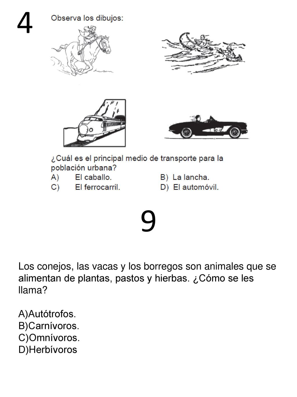 4 9. Los conejos, las vacas y los borregos son animales que se alimentan de plantas, pastos y hierbas. ¿Cómo se les llama