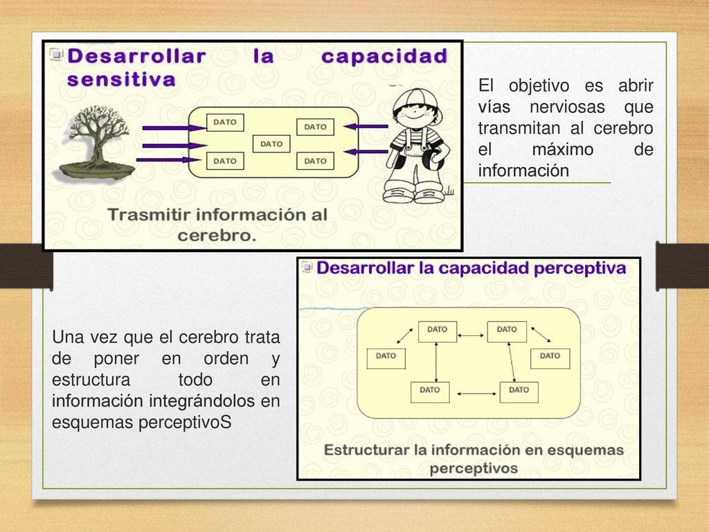 El objetivo es abrir vías nerviosas que transmitan al cerebro el máximo de información