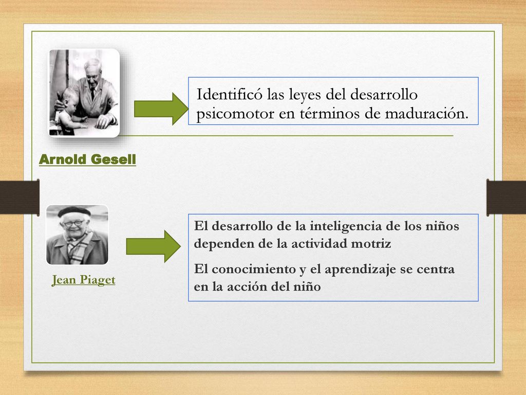 Identificó las leyes del desarrollo psicomotor en términos de maduración.