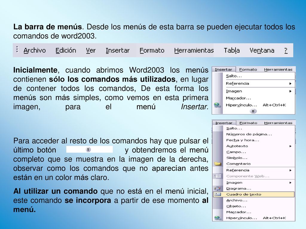 La barra de menús. Desde los menús de esta barra se pueden ejecutar todos los comandos de word2003.