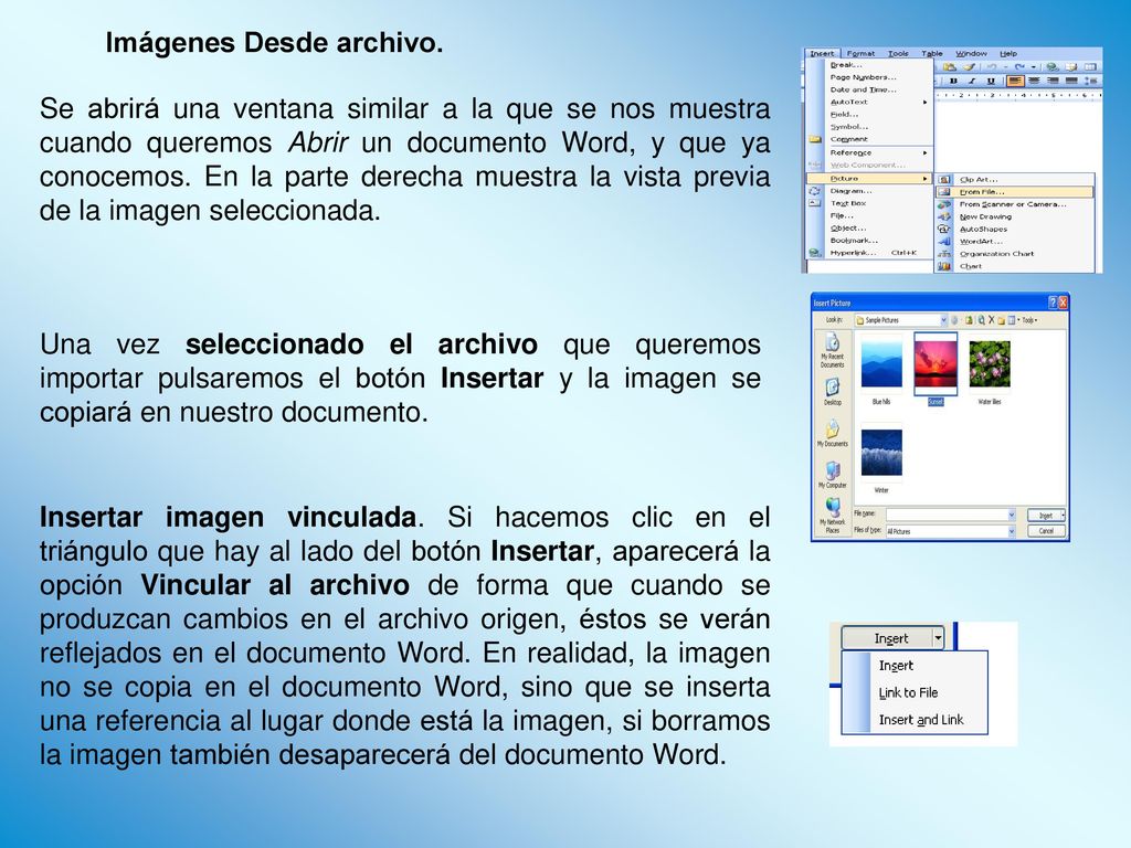 Se abrirá una ventana similar a la que se nos muestra cuando queremos Abrir un documento Word, y que ya conocemos. En la parte derecha muestra la vista previa de la imagen seleccionada.