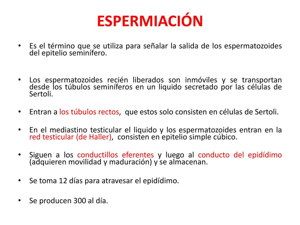 ESPERMIACIÓN Es el término que se utiliza para señalar la salida de los espermatozoides del epitelio seminífero.