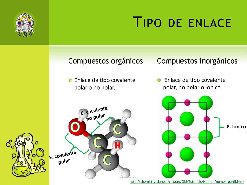 C Tipo de enlace O H Compuestos orgánicos Compuestos inorgánicos