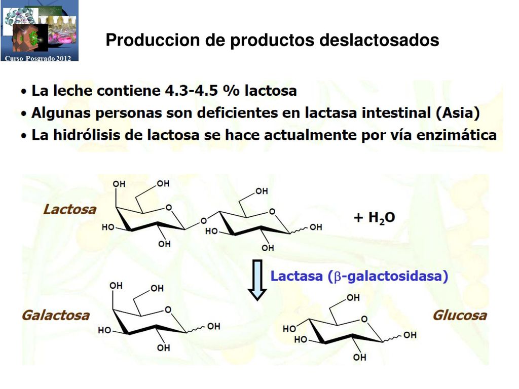 Produccion de productos deslactosados