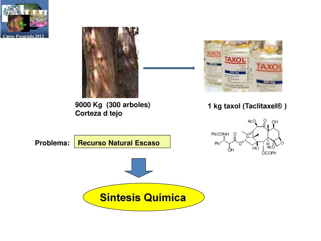 Síntesis Química 9000 Kg (300 arboles) 1 kg taxol (Taclitaxel® )