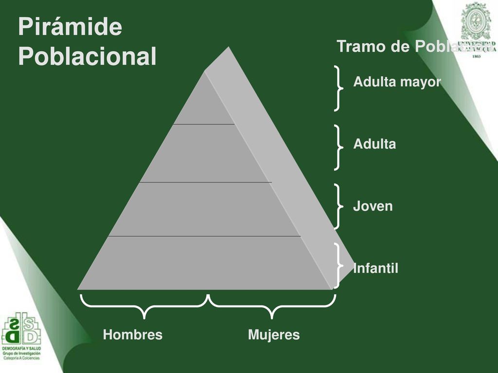 Pirámide Poblacional Tramo de Población Adulta mayor Adulta Joven