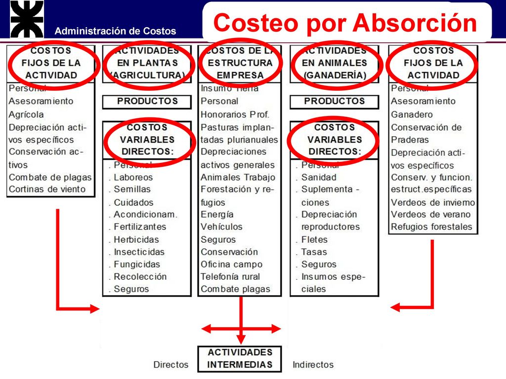 Modelos de costeo Costeo Variable Costeo por Absorción
