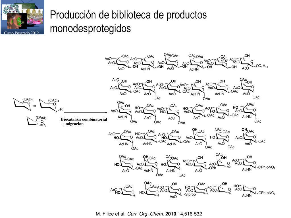 Producción de biblioteca de productos monodesprotegidos