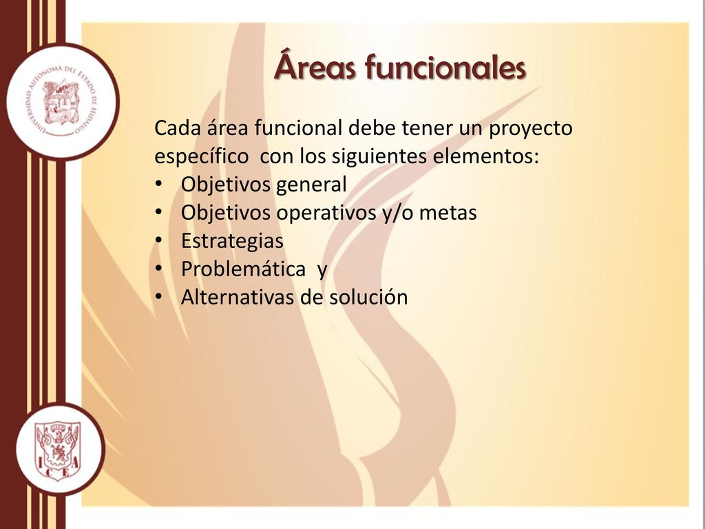 Áreas funcionales Cada área funcional debe tener un proyecto específico con los siguientes elementos: