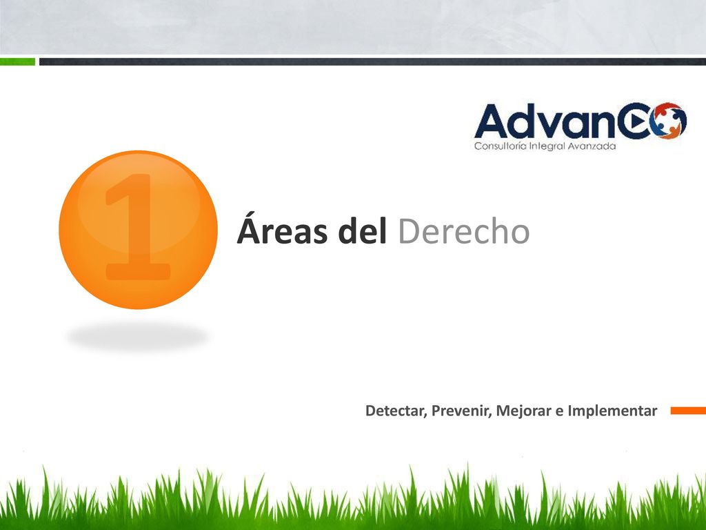 1 Áreas del Derecho Detectar, Prevenir, Mejorar e Implementar
