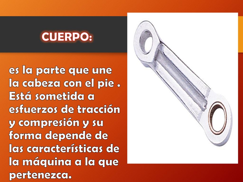 CUERPO: es la parte que une la cabeza con el pie