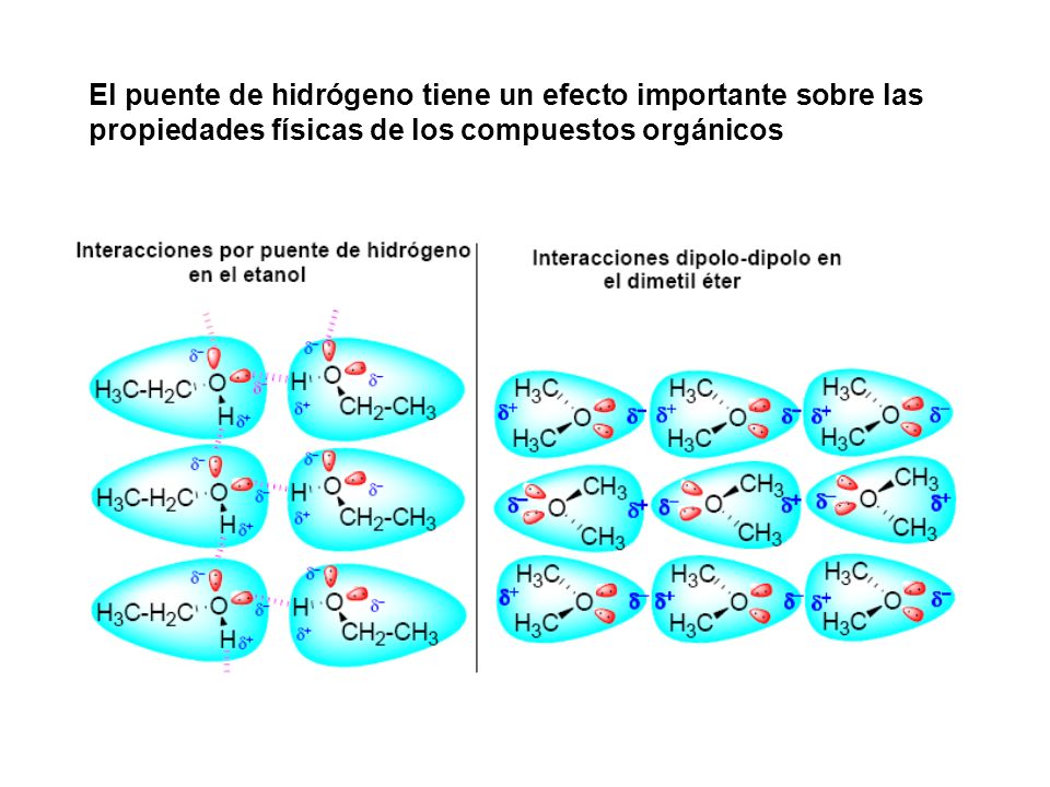 El puente de hidrógeno tiene un efecto importante sobre las propiedades físicas de los compuestos orgánicos