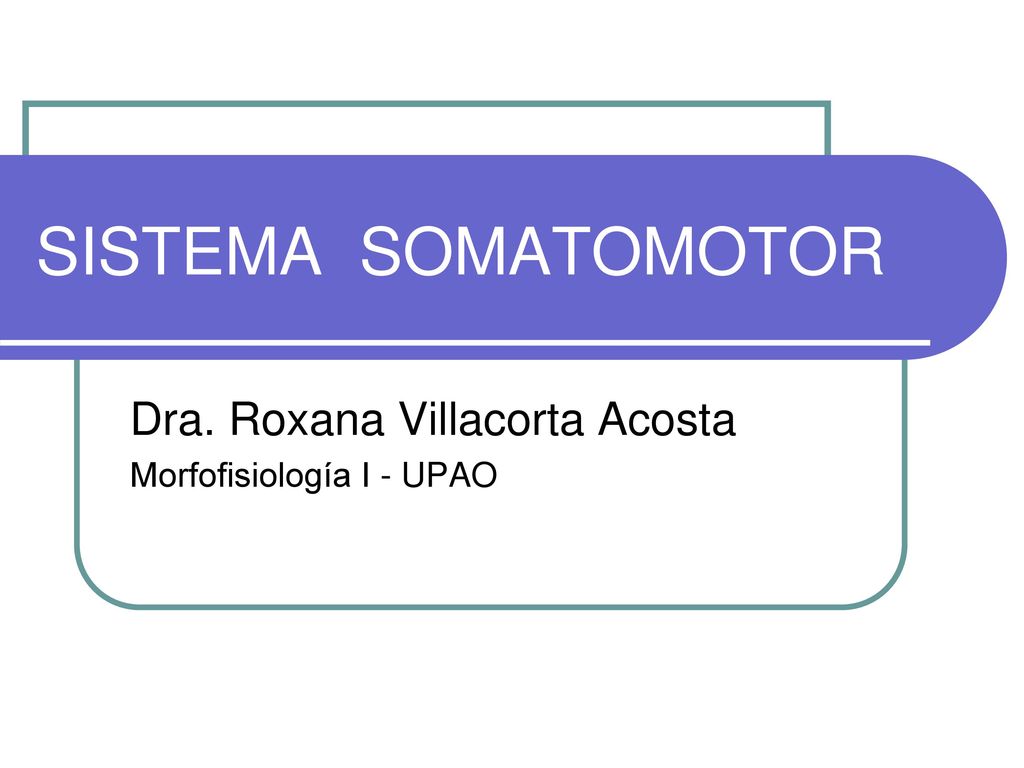 Dra. Roxana Villacorta Acosta Morfofisiología I - UPAO