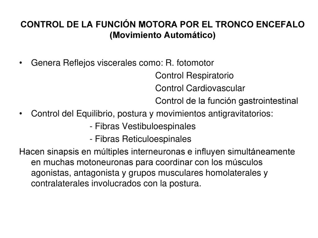 CONTROL DE LA FUNCIÓN MOTORA POR EL TRONCO ENCEFALO (Movimiento Automático)