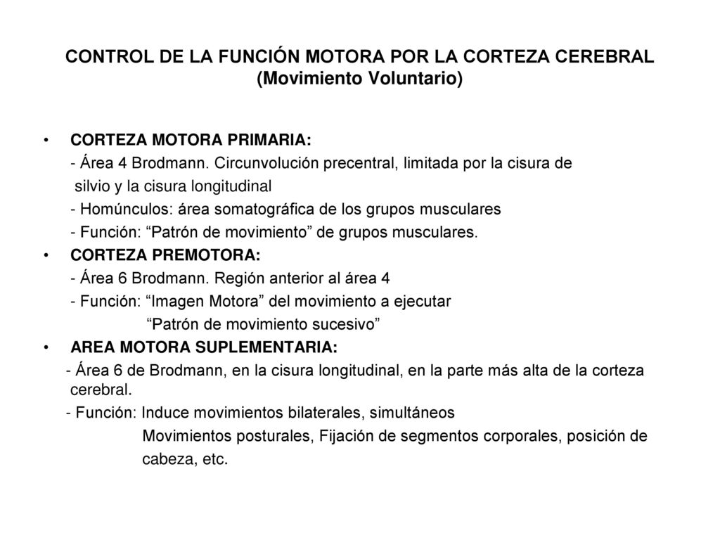 CONTROL DE LA FUNCIÓN MOTORA POR LA CORTEZA CEREBRAL (Movimiento Voluntario)