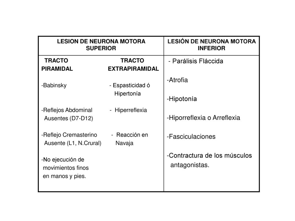 LESION DE NEURONA MOTORA SUPERIOR LESIÓN DE NEURONA MOTORA INFERIOR