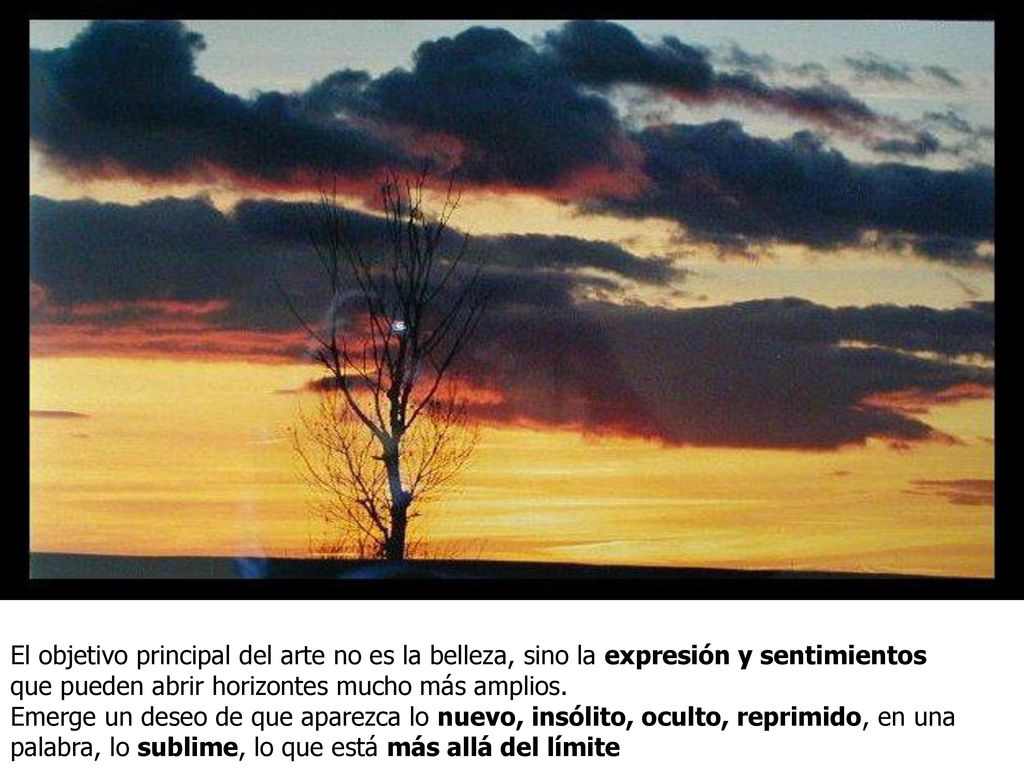 El objetivo principal del arte no es la belleza, sino la expresión y sentimientos que pueden abrir horizontes mucho más amplios.