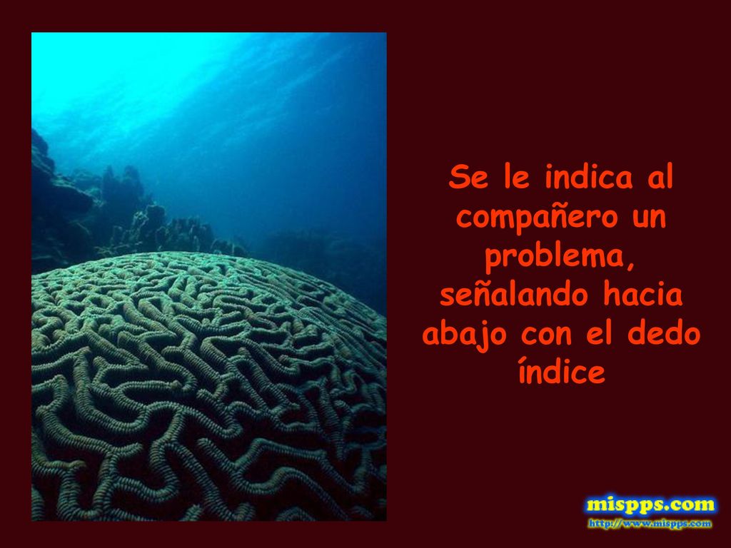 Se le indica al compañero un problema, señalando hacia abajo con el dedo índice
