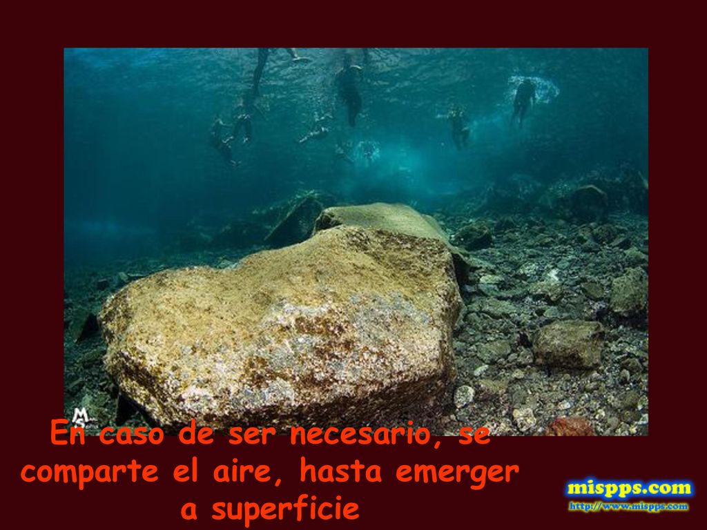 En caso de ser necesario, se comparte el aire, hasta emerger a superficie