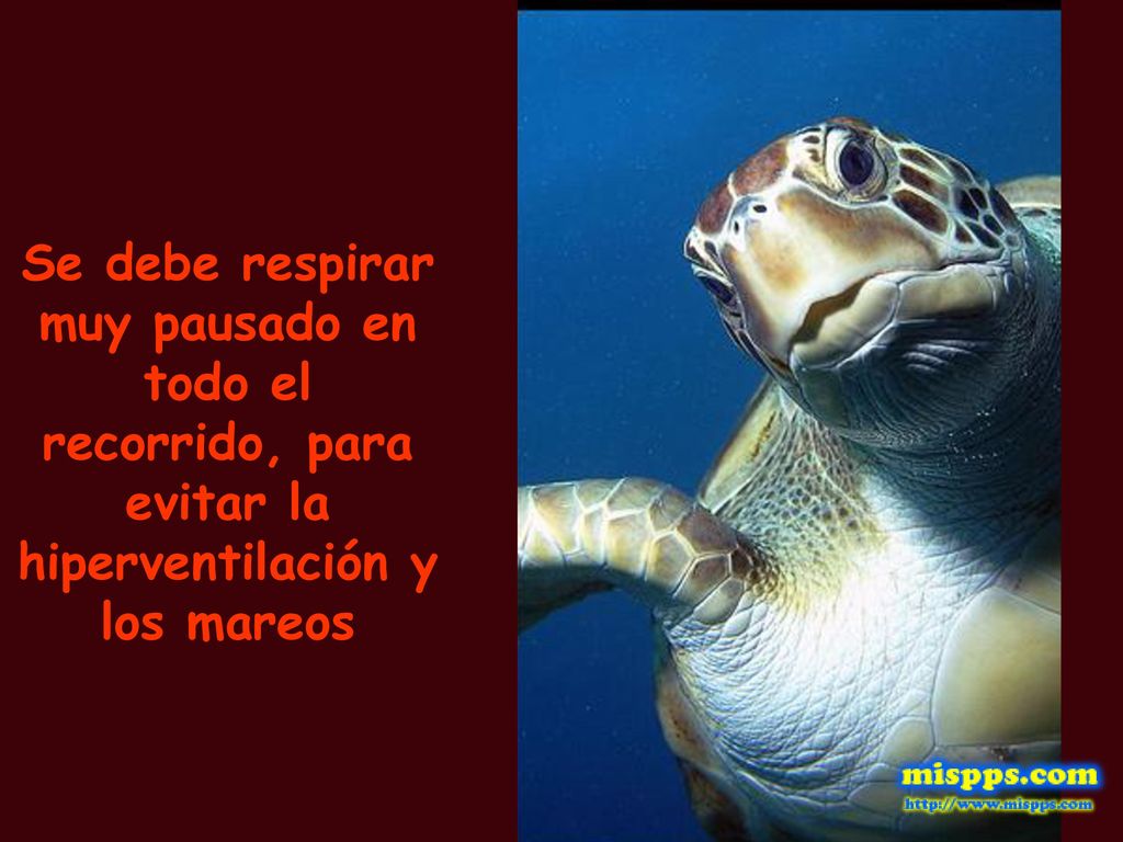Se debe respirar muy pausado en todo el recorrido, para evitar la hiperventilación y los mareos