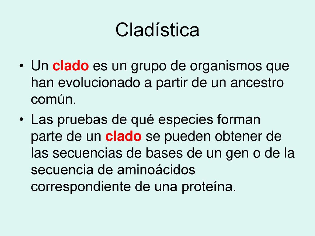 Cladística Un clado es un grupo de organismos que han evolucionado a partir de un ancestro común.