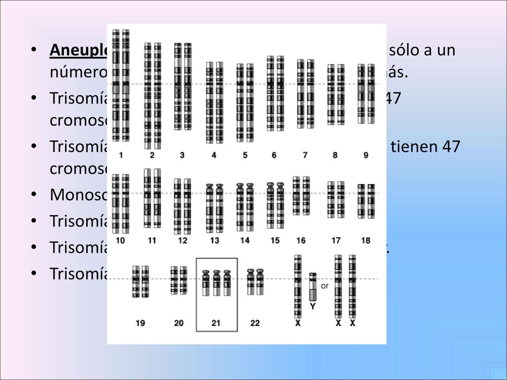 Aneuploidía: Son las mutaciones que afectan sólo a un número de ejemplares de un cromosoma o más.