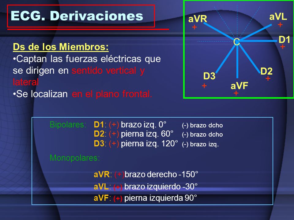 ECG. Derivaciones aVL aVR + + D1 C Ds de los Miembros: