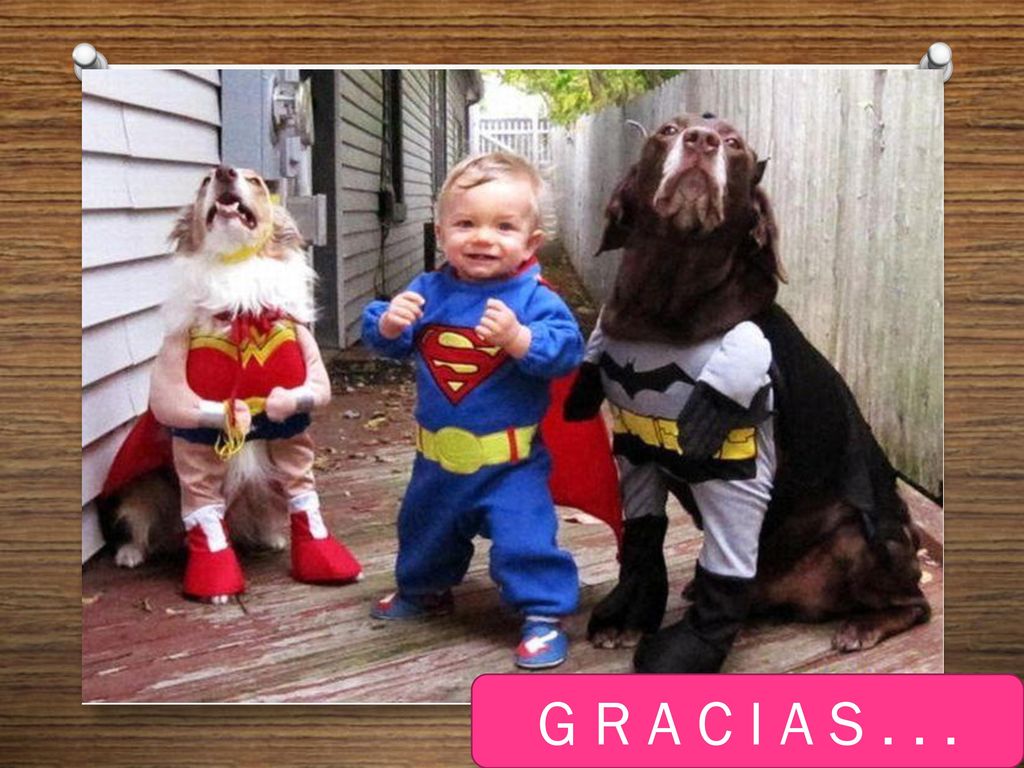 G R A C I A S . . .