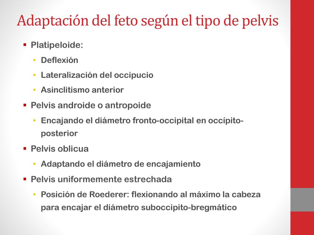 Adaptación del feto según el tipo de pelvis