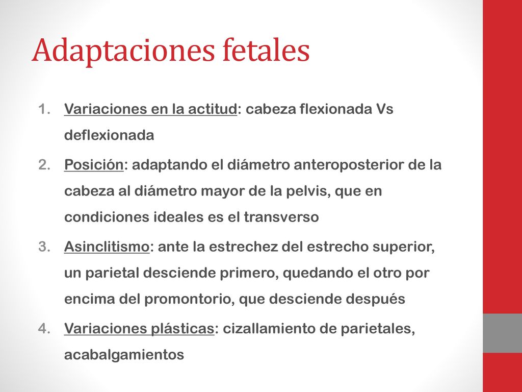 Adaptaciones fetales Variaciones en la actitud: cabeza flexionada Vs deflexionada.