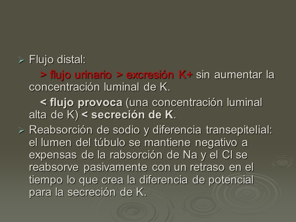 Flujo distal: > flujo urinario > excresión K+ sin aumentar la concentración luminal de K.