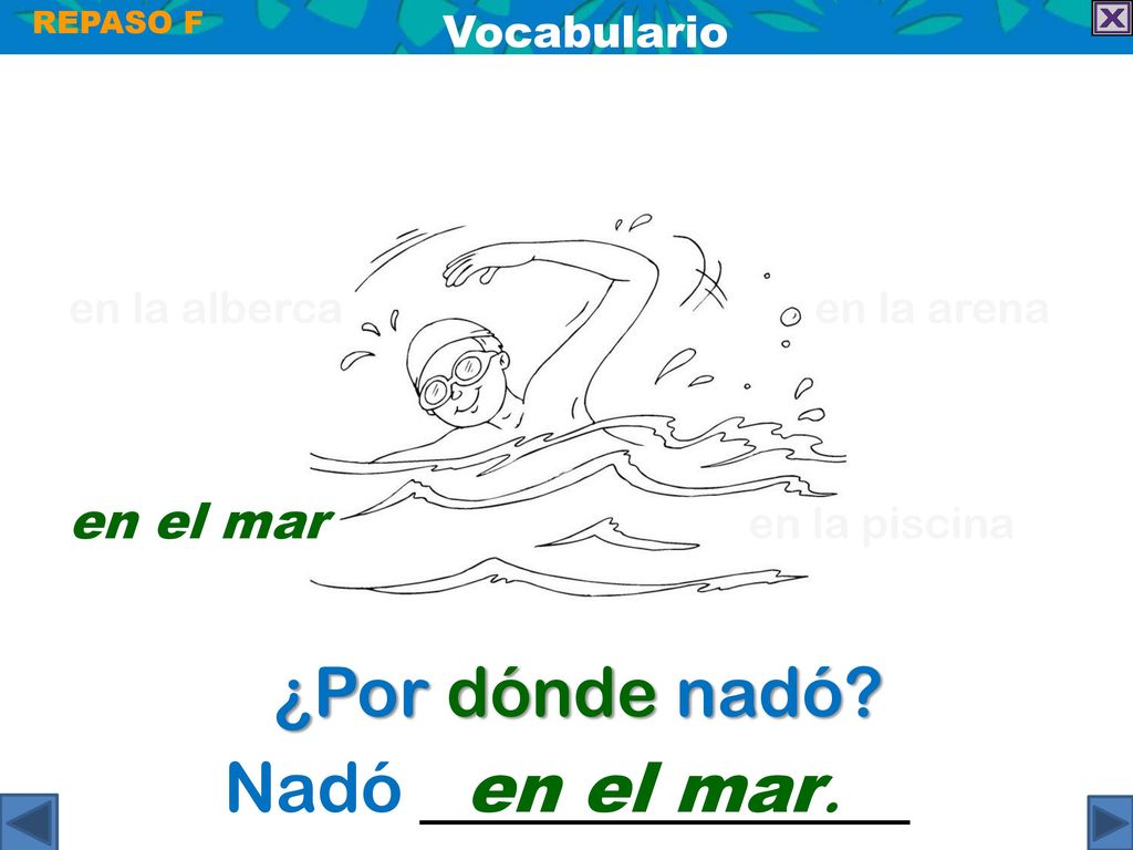 ¿Por dónde nadó Nadó en el mar. . en el mar en la piscina Vocabulario