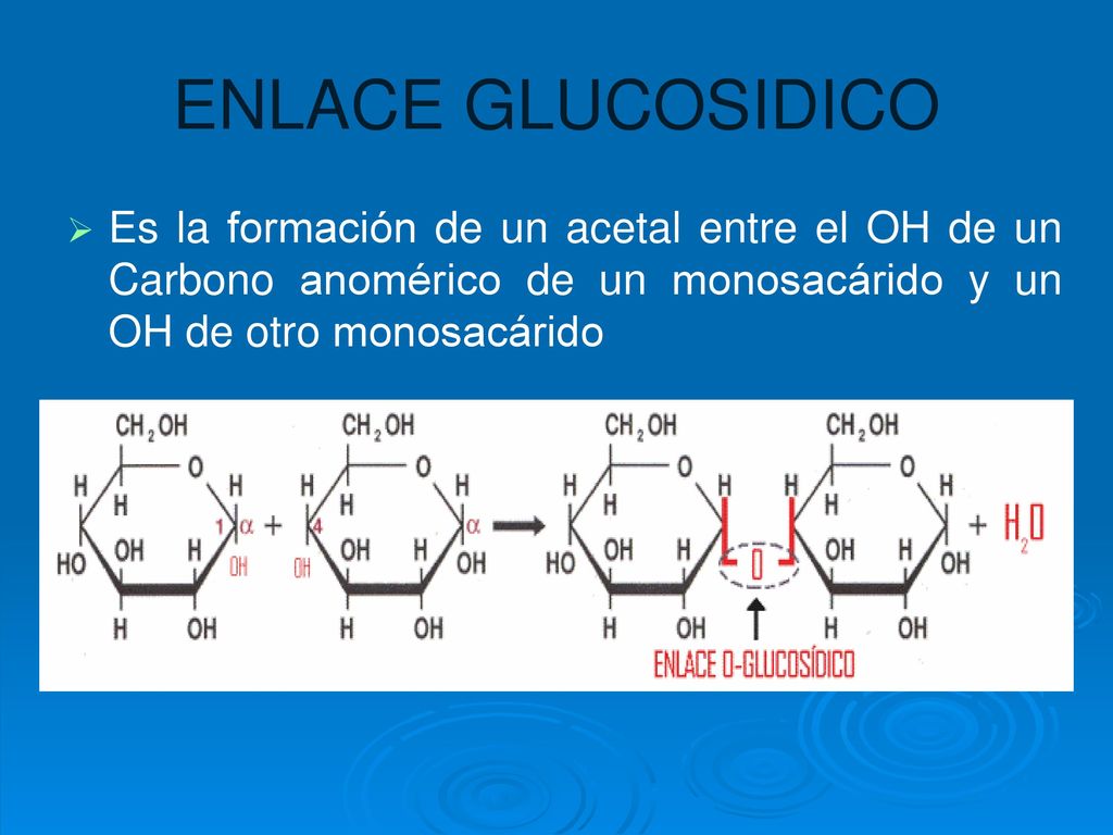 ENLACE GLUCOSIDICO Es la formación de un acetal entre el OH de un Carbono anomérico de un monosacárido y un OH de otro monosacárido.